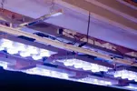 [TodoMarino.com] Fabricación pantalla de leds para acuarios de 1200 litros, 300 y 200