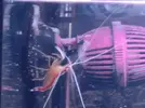 [TodoMarino.com] Mi humilde acuario