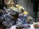 [TodoMarino.com] nano reef 30 l hailea