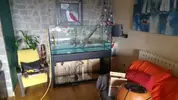 [TodoMarino.com] Proyecto de reff