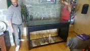 [TodoMarino.com] Proyecto de reff
