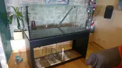 [TodoMarino.com] Proyecto de reff