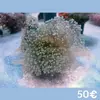 [TodoMarino.com] Semana del CORAL.