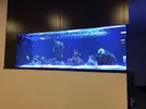 [TodoMarino.com] Ami's Cave