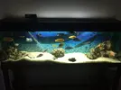 [TodoMarino.com] Vendo urna de 300 litros,más mesa y 2 filtros