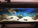 [TodoMarino.com] Vendo urna de 300 litros,más mesa y 2 filtros