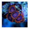 [TodoMarino.com] Ofertonnnnnn varios zoas envio - Langreo, asturias