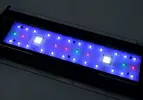 [TodoMarino.com] MAXSPECT R420R 180W vs TMC V2 ILUMINEAR 900 180W vs AQUAOCEAN EVERGROW IT5080 230W