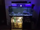 [TodoMarino.com] Vendo acuario completo 120l en Madrid. - Madrid
