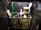 [TodoMarino.com] Vendo acuario completo 120l en Madrid. - Madrid