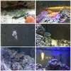 [TodoMarino.com] Vendo acuario completo 120l en Madrid. - Madrid