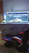 [TodoMarino.com] Un nuevo Boquerón por aquí