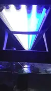 [TodoMarino.com] Un nuevo Boquerón por aquí