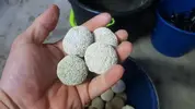 [TodoMarino.com] MARINE PURE ESFERAS - malaga