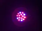 [TodoMarino.com] Bombillas LED azul-blanco. rojo-blanco - Madrid