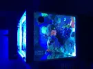 [TodoMarino.com] Sirocco Zenit II T5 8x24 w - Madrid