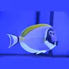 [TodoMarino.com] COLOR EN TU ACUARIO