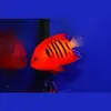 [TodoMarino.com] COLOR EN TU ACUARIO