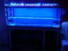 [TodoMarino.com] Acuario y mesa ,oprtunidad. - Cartagena murcia