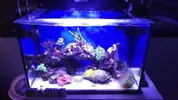 [TodoMarino.com] Acuario 156l - Desmonte - Madrid