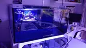 [TodoMarino.com] Mountain Reef - 484l by Mariano