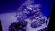 [TodoMarino.com] Mountain Reef - 484l by Mariano