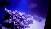 [TodoMarino.com] Mountain Reef - 484l by Mariano