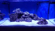 [TodoMarino.com] Mountain Reef - 484l by Mariano