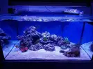 [TodoMarino.com] Mountain Reef - 484l by Mariano