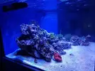 [TodoMarino.com] Mountain Reef - 484l by Mariano