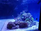 [TodoMarino.com] Mountain Reef - 484l by Mariano