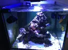 [TodoMarino.com] Vendo acuario 450 litros completo - San sebastian
