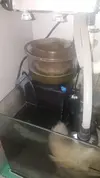 [TodoMarino.com] skimmer tunze 9011 - sant pere de ribes/barcelona