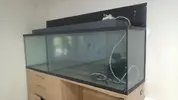 [TodoMarino.com] Material por desmonte (Urna, Skimmer, bombas...) - Barcelona/Girona