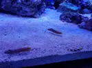 [TodoMarino.com] Mountain Reef - 484l by Mariano