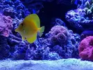 [TodoMarino.com] Mountain Reef - 484l by Mariano