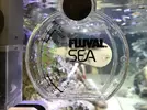 [TodoMarino.com] Fusión iberico con tropical