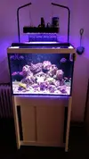 [TodoMarino.com] acuario sirocco - mostoles (madrid)