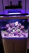 [TodoMarino.com] acuario sirocco - mostoles (madrid)