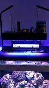 [TodoMarino.com] acuario sirocco - mostoles (madrid)