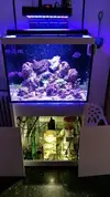 [TodoMarino.com] acuario sirocco - mostoles (madrid)