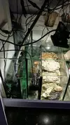 [TodoMarino.com] acuario sirocco - mostoles (madrid)