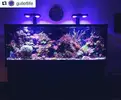 [TodoMarino.com] Configuraciones Radion G4 Pro