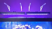 [TodoMarino.com] Vendo por desmonte, materiales y algún coral blando - Valladolid