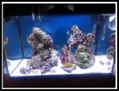 [TodoMarino.com] Pantalla led Fluval  A3990 - MADRID