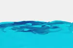 [TodoMarino.com] clarkii y chromis - madrid