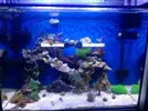 [TodoMarino.com] Os presento mi acuario y mi esquejero