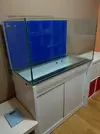 [TodoMarino.com] Acuario sirocco 275 litros - Ripollet