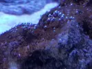 [TodoMarino.com] Mountain Reef - 484l by Mariano