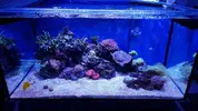 [TodoMarino.com] Mountain Reef - 484l by Mariano